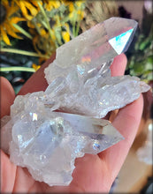 Load image into Gallery viewer, Angel Aura Quartz Cluster
